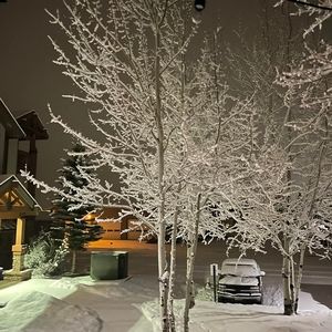 Meet your Posher, Jimi